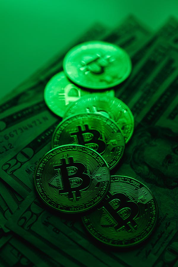 Investing Basics